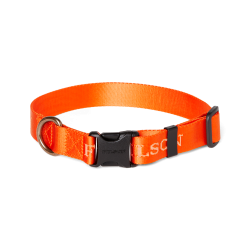 Nylon Dog Collar - Flame